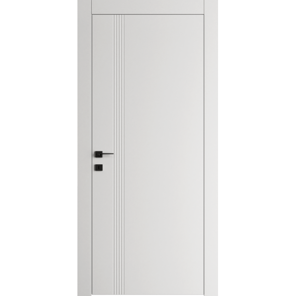 Двері Dooris FORM FR06