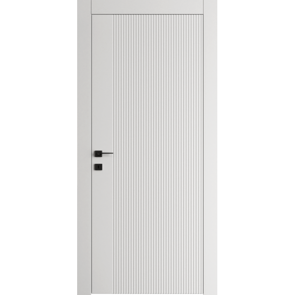 Двері Dooris FORM FR08